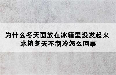 为什么冬天面放在冰箱里没发起来 冰箱冬天不制冷怎么回事